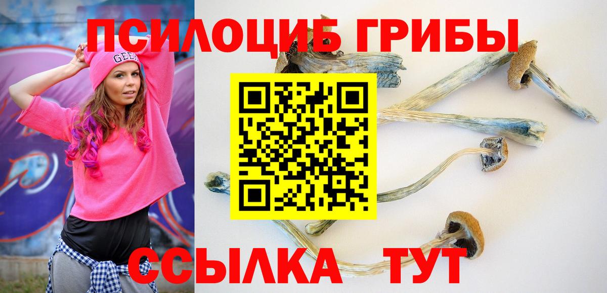Галлюциногенные грибы Magic Shrooms Карпинск